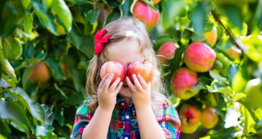 Ako spracovať letnú ovocnú úrodu? Zavariť