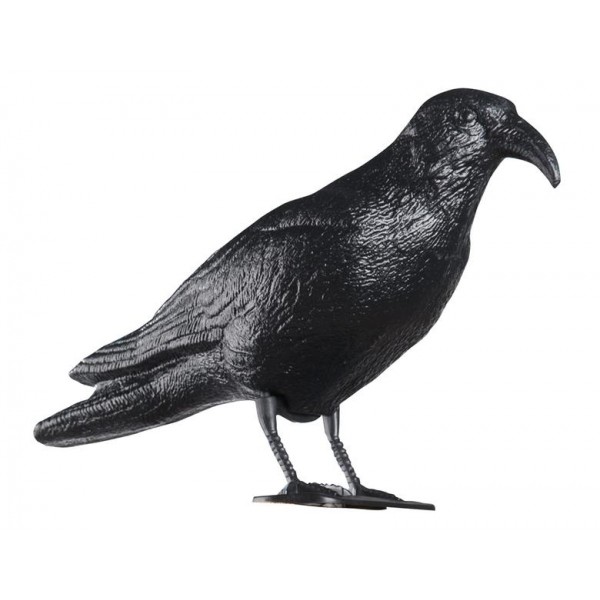 Odpudzovač holubov - havran