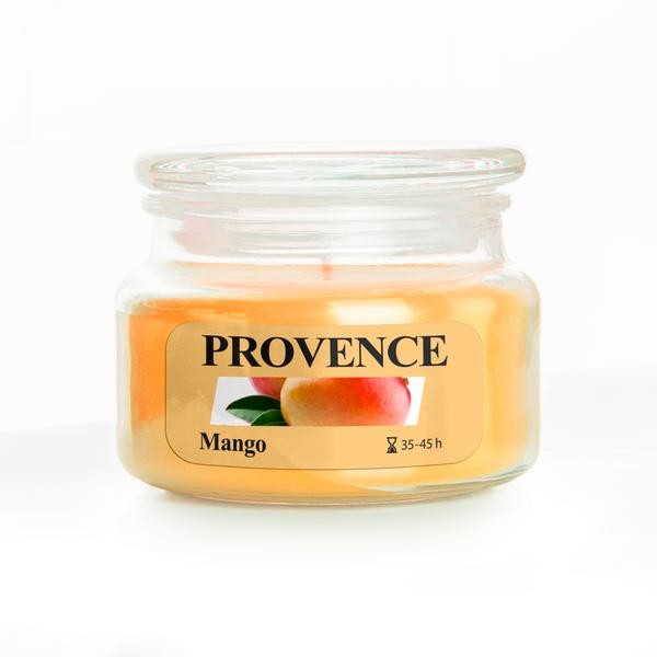 Vonná sviečka v skle PROVENCE 45 hodín mango