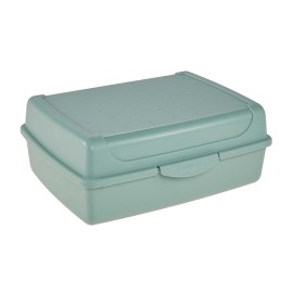 Plastový desiatový box 17x13x7cm severská zelená
