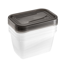 Dóza na potraviny Fresh & amp; Freeze, 4 ks, 0,75 l